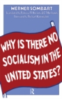 Why is There No Socialism In the United States - eBook