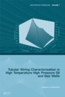 Tubular String Characterization in High Temperature High Pressure Oil and Gas Wells - eBook
