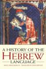 History of the Hebrew Language - eBook