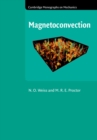 Magnetoconvection - eBook