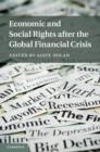 Economic and Social Rights after the Global Financial Crisis - eBook