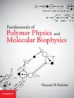Fundamentals of Polymer Physics and Molecular Biophysics - eBook