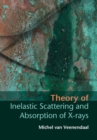 Theory of Inelastic Scattering and Absorption of X-rays - eBook