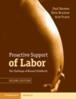 Proactive Support of Labor : The Challenge of Normal Childbirth - eBook