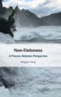Non-Finiteness : A Process-Relation Perspective - Book