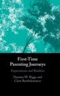 First-Time Parenting Journeys : Expectations and Realities - Book