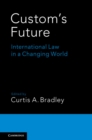 Custom's Future : International Law in a Changing World - eBook
