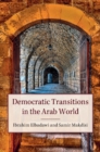 Democratic Transitions in the Arab World - eBook