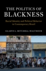 Politics of Blackness : Racial Identity and Political Behavior in Contemporary Brazil - eBook
