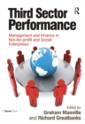 Third Sector Performance : Management and Finance in Not-for-profit and Social Enterprises - eBook