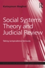 Social Systems Theory and Judicial Review : Taking Jurisprudence Seriously - eBook