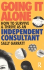 Going it Alone? : Lone Motherhood in Late Modernity - eBook