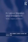 EU Labour Migration since Enlargement : Trends, Impacts and Policies - eBook