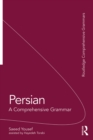 Persian : A Comprehensive Grammar - eBook