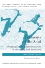 Torments of the Soul : Psychoanalytic transformations in dreaming and narration - eBook