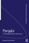 Panjabi : A Comprehensive Grammar - eBook