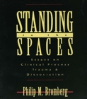 Standing in the Spaces : Essays on Clinical Process Trauma and Dissociation - eBook
