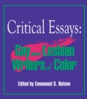Critical Essays : Gay and Lesbian Writers of Color - eBook