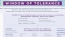 Window of Tolerance Laminated Card - Book