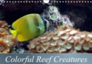 Colorful Reef Creatures : Tropical Reefs Provide a Wide Variety of Animals and Colors - Book