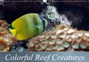 Colorful Reef Creatures : Tropical Reefs Provide a Wide Variety of Animals and Colors - Book