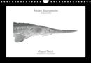 Asian Sturgeons (Acipenseridae): Fish as Art : The Diversity of Sturgeons in 13 Scientific Illustrations - Book