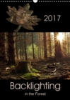 Backlighting in the Forest 2017 : Backlighting is One of the Most Attractive Forms of Lighting for Photography and Creates Interesting Highlights - Book