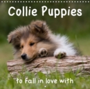Collie Puppies to Fall in Love with 2017 : Wonderful Collie Puppies in All Three Colours - Book