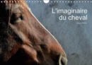 L'Imaginaire Du Cheval 2017 : Regard Abstrait Sur Le Cheval - Book