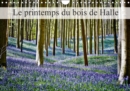 Le printemps du bois de Halle 2018 : Hallerbos, la foret feerique - Book