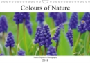 Colours of Nature 2018 : Beautiful flowers and plants - Book