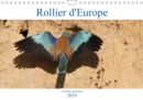 Rollier d'Europe (Coracias garrulus) 2019 : Decouvrez le rollier d'Europe, un oiseau bleu mediterraneen magnifique. - Book