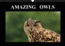 AMAZING OWLS 2019 : Glorious owls. Beautiful photos. A must-have for every owl lover. - Book