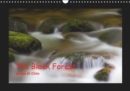 The Black Forest - UK Version 2019 : Impressions from the Black Forest - Book