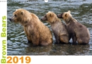 Brown Bears 2019 UK-Version 2019 : Brown Bears - a shooting of a special kind - Book