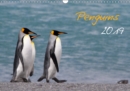 Penguins 2019 2019 : Monthly calendar with 13 wildlife images - Book