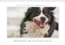 Emotional Moments: Bernese Mountain Dog. UK-Version 2019 : Ingo Gerlach GDT has held the Bernese Mountain Dog in age and youth in attractive images. - Book