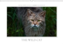 Emotional Moments: The Wildcat. UK-Version 2019 : Exciting pictures of our native wild cat. More at www.tierphoto.de - Book