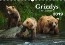 Grizzlys - The Calendar UK-Version 2019 : Grizzly Bears - a photo shoot in the Alaskan wilderness - Book