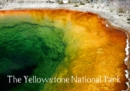 The Yellowstone National Park 2019 : Wonderful pictures amidst an impressive nature in the Yellowstone National Park. - Book