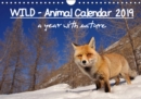 WILD - Animal Calendar 2019 / UK Version 2019 : A year with nature - Book