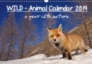 WILD - Animal Calendar 2019 / UK Version 2019 : A year with nature - Book