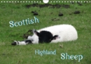 Scottish Highland Sheep (UK Version) 2019 : with sheeps through the year - Book