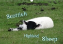 Scottish Highland Sheep (UK Version) 2019 : with sheeps through the year - Book