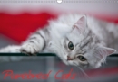 Purebred Cats (UK-Version) 2019 : Gorgeous Cats at Home - Book