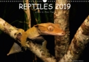 REPTILES / UK-Version 2019 : Reptiles of the world - Book