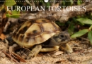 European Tortoises / UK-Version 2019 : The pictures in that calendar show tortoises of southern Europe in their habitats - Book