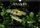 SNAKES / UK-Version 2019 : Snakes, fascinating reptiles, snake calendar, reptile, Benny Trapp - Book