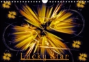 Lucky Star / UK-Version 2019 : An imaginative journey through the world of stars. Every month a new lucky star shines for you. - Book
