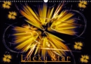 Lucky Star / UK-Version 2019 : An imaginative journey through the world of stars. Every month a new lucky star shines for you. - Book